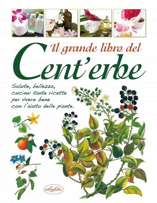 GRANDE LIBRO DEL CENT'ERBE, IL Copertina de GRANDE LIBRO DEL CENT'ERBE, IL